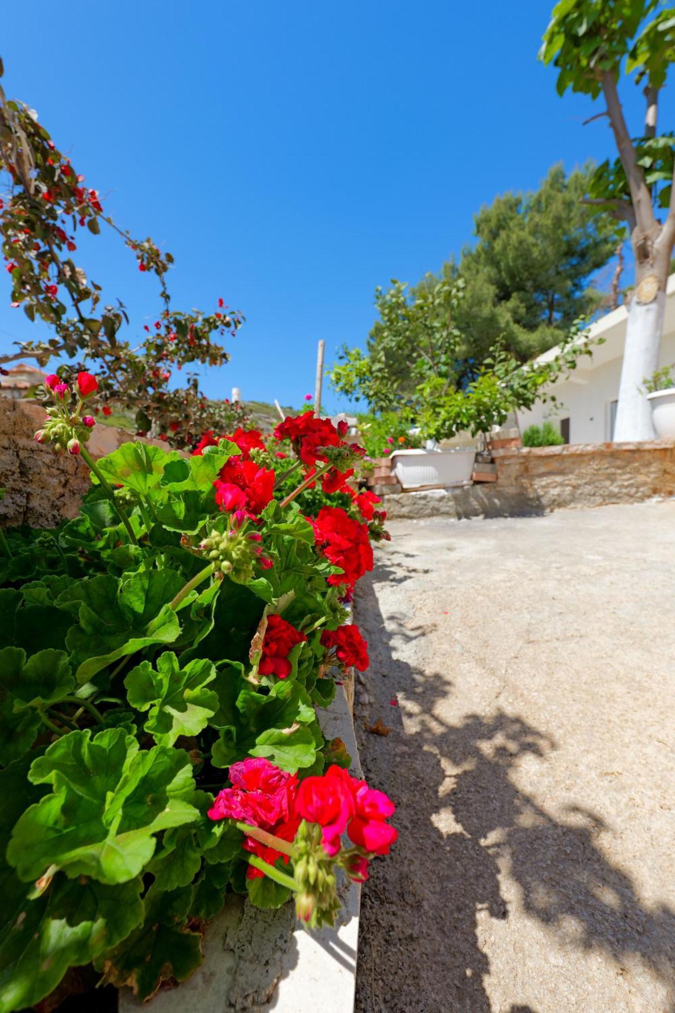Flower Vila Sarande Exterior photo