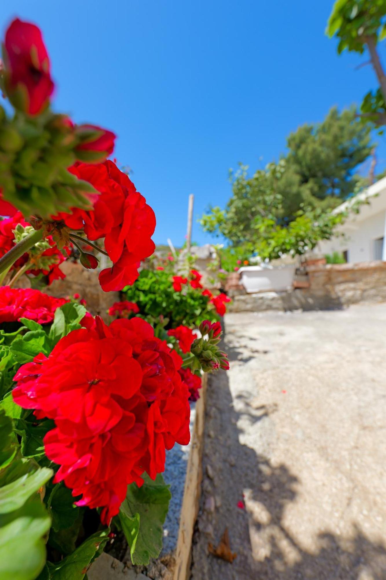 Flower Vila Sarande Exterior photo