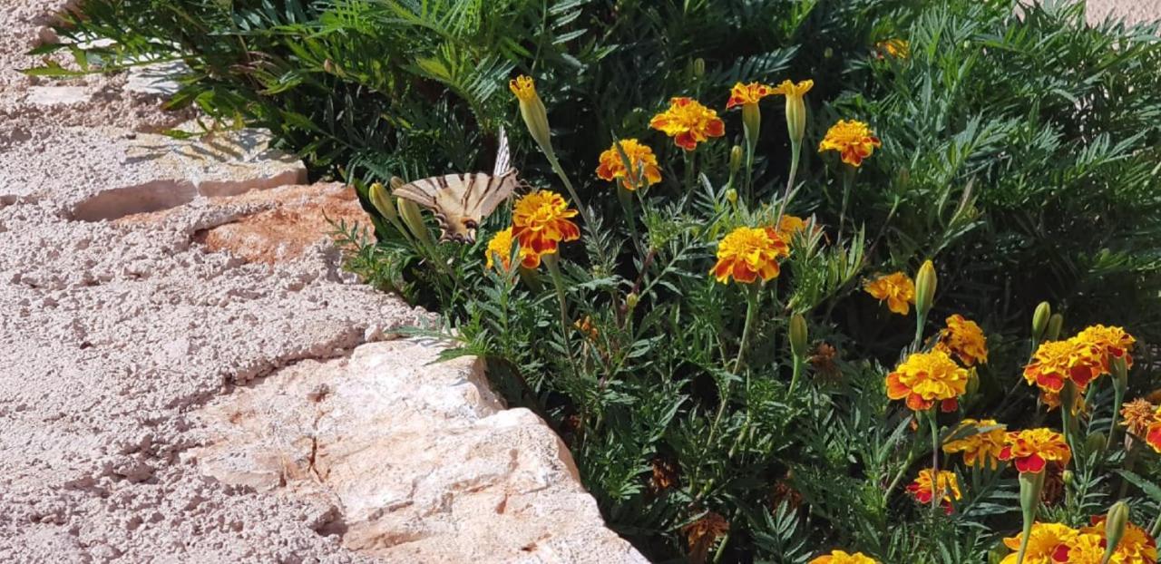 Flower Vila Sarande Exterior photo